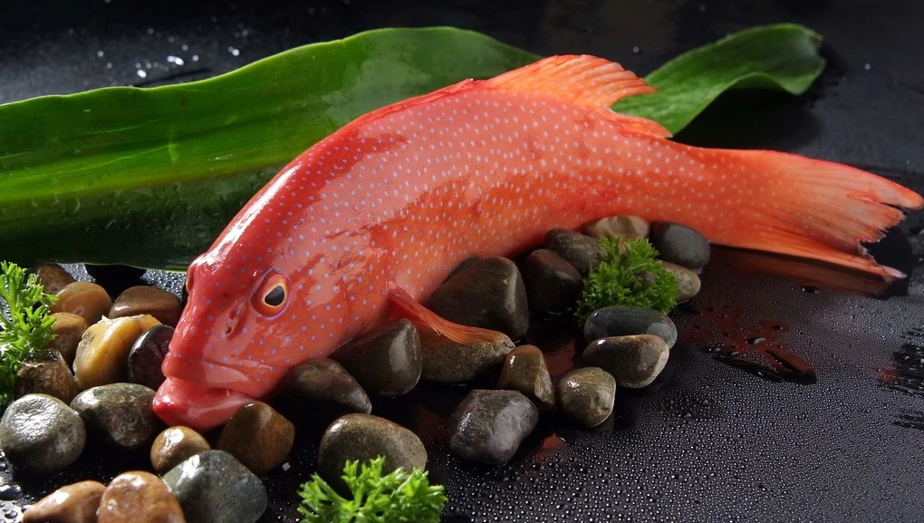 Golden Bay | Premium Seafood & Chinese Restaurant