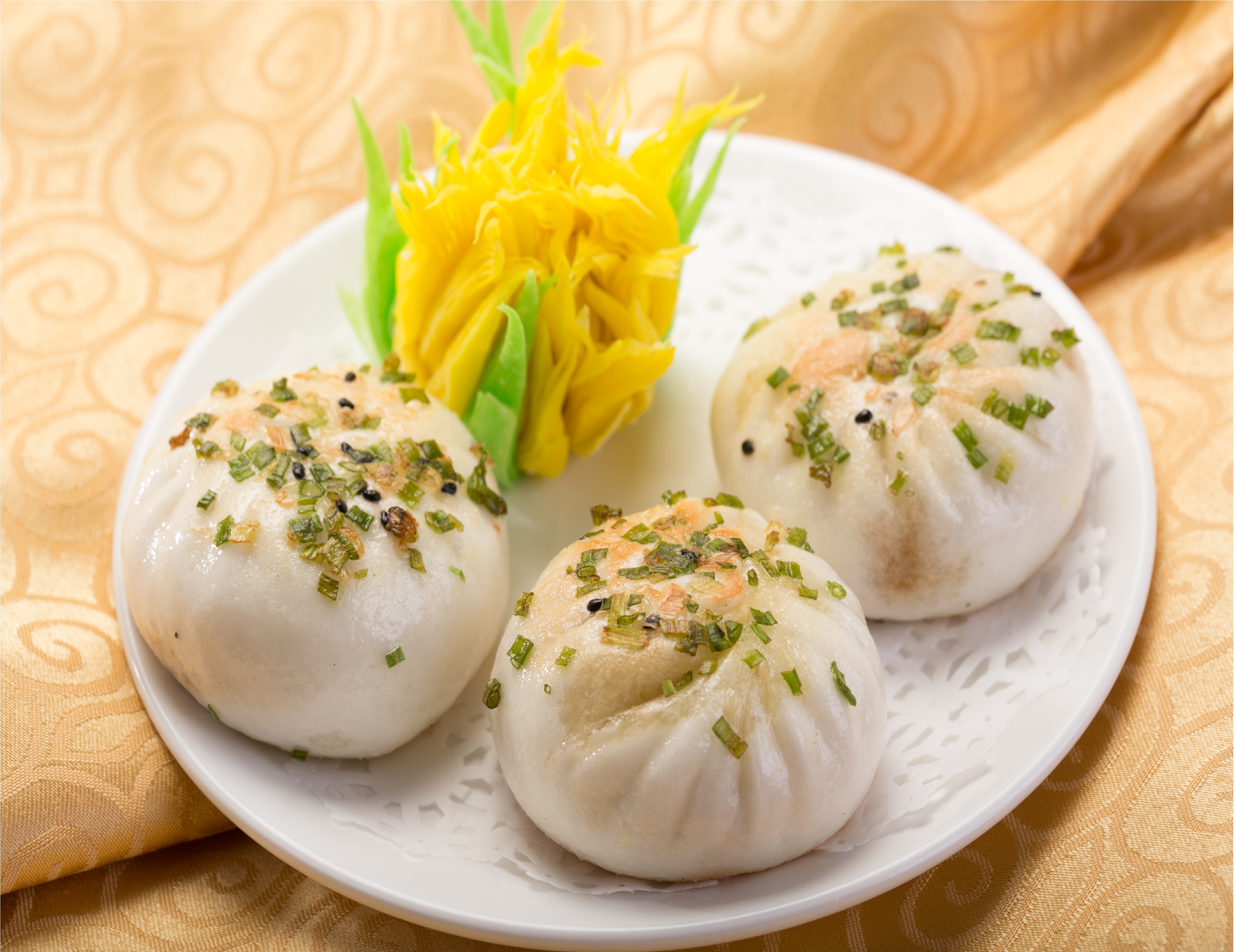 PAN FRIED MEAT PAO (1)