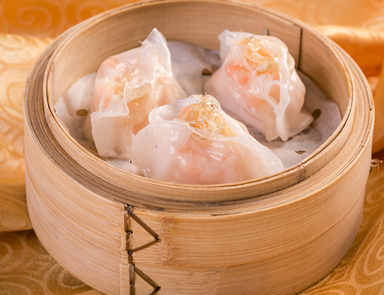 sharks fin